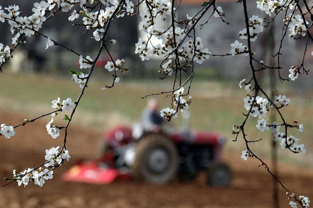 Nemačka razmišlja o ulaganju u srpski agrar