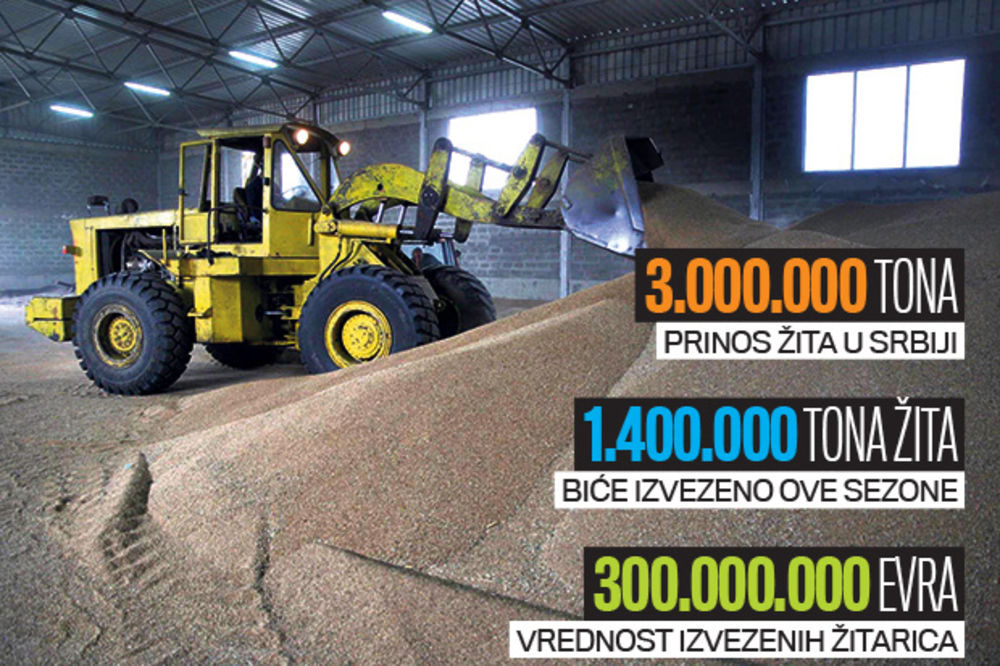 AGRARNI REKORD: Žito izvozimo čak i u Afriku!