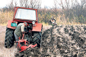 STIŽU PARE PAORIMA: Poljoprivrednici imaju OVAJ ROK da konkurišu za subvencije za 2023. godinu, ali sve moraju telefonom!