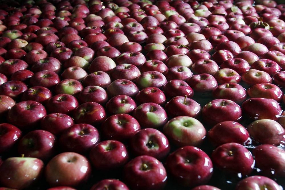 Rusi traže i tri puta više jabuka nego što voćari imaju