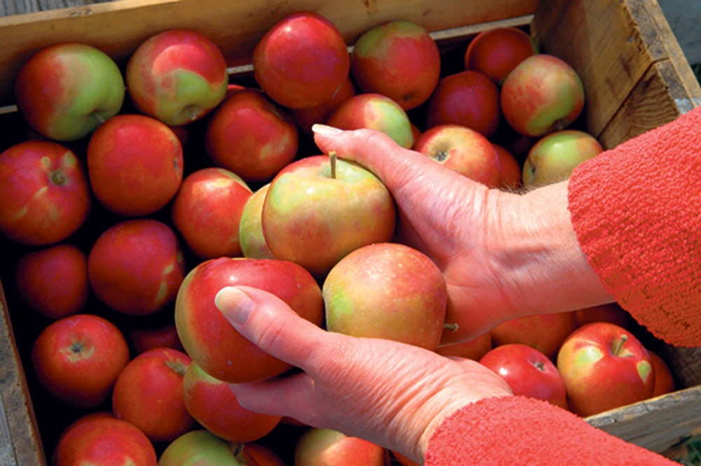 ŠTA SE NAJVIŠE PRODAVALO PROŠLE NEDELJE: Pojeli smo 211 tona jabuka