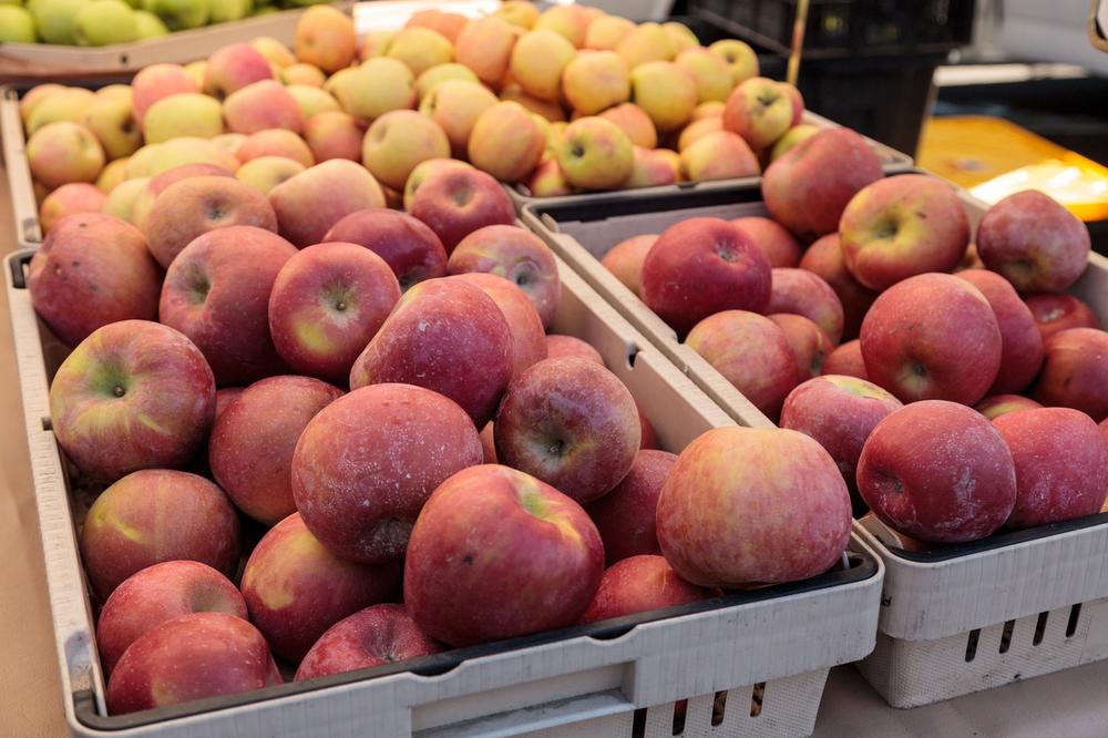 PREPAKIVALI POŠILJKE IZ POLJSKE: Rusija zabranila uvoz jabuka iz BiH