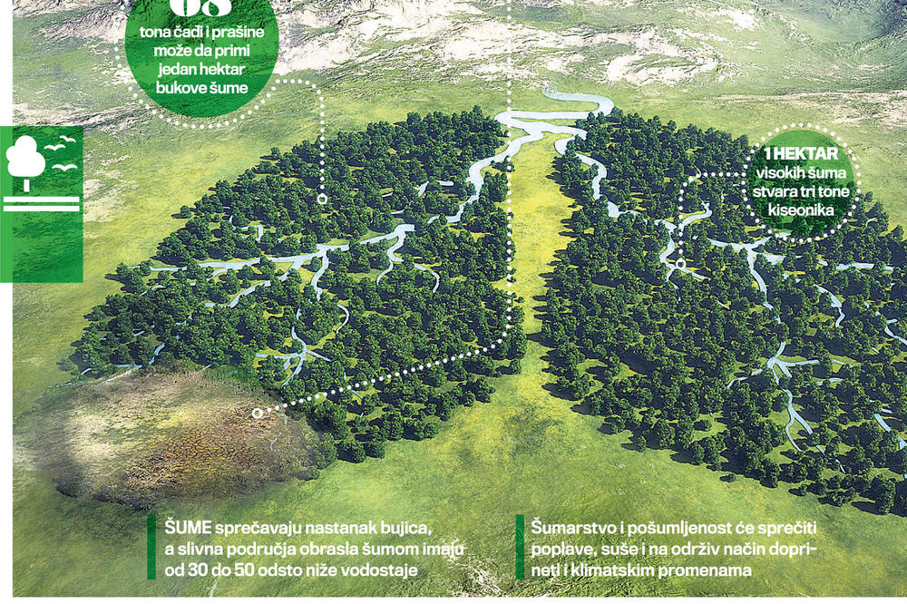 CILJ BROJ 15 AGENDE ODRŽIVOG RAZVOJA 2030 : Nestankom šuma nestaćemo i mi!