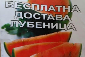 DOVITLJIVE BOSTANDŽIJE SMISLILE NOVI BIZNIS: Besplatna dostava lubenica po sistemu bostan u ruke!