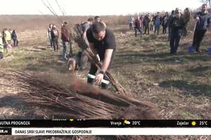 POKRET GORANA SRBIJE: Za 60 godina rada pošumili 400.000 ha zemljišta (KURIR TV)