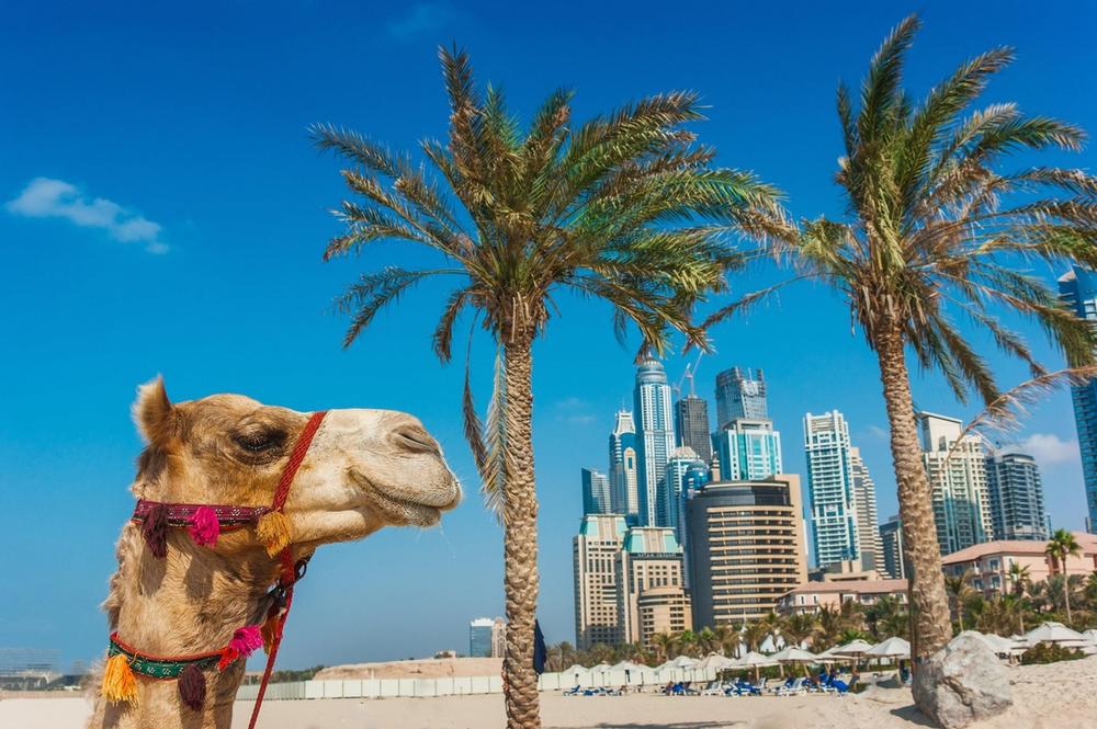 kamila, Dubai