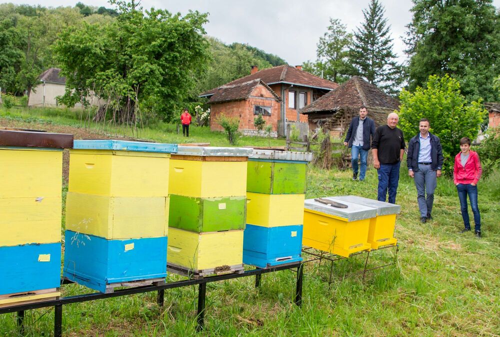 Bojana Pavlović, Mionica, pčelarstvo, košnice