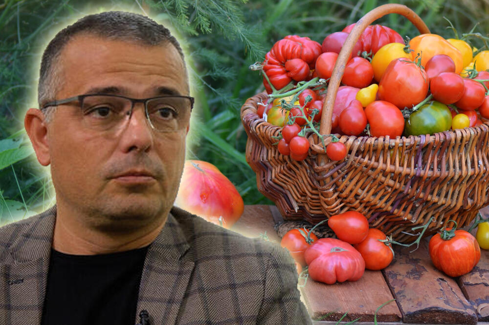MINISTAR NEDIMOVIĆ: Problem s paradajzom biće rešen za par dana, u ponedeljak idem u Leskovac