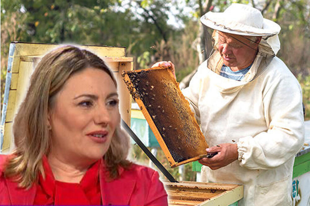 "GOSPODA SU NA SELU" Pokret zadruge je objedinio pčelare kojima cveta biznis, OVO SU PREDNOSTI U POSLOVANJU KOJE MORATE DA ZNATE!