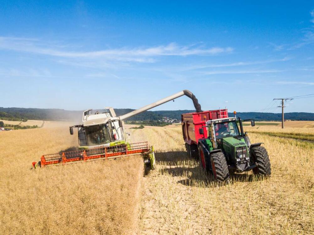 polje pšenice, kombajn, traktor