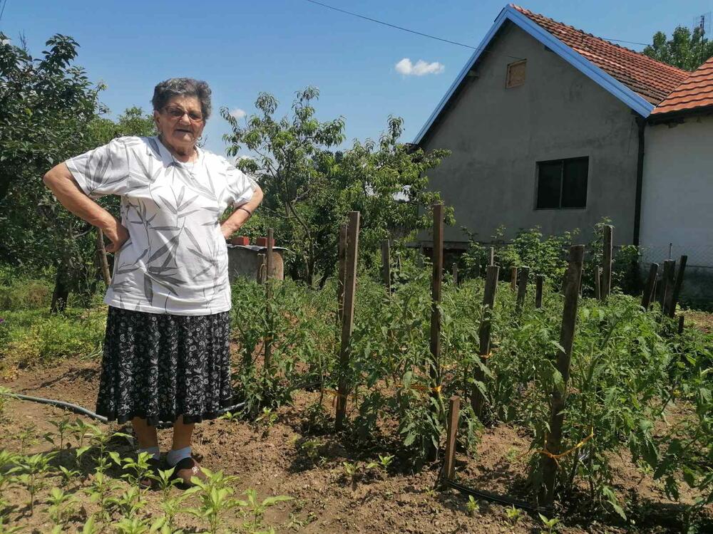 Bašta, Povrće, selo, srpsko selo, Grozda Marković