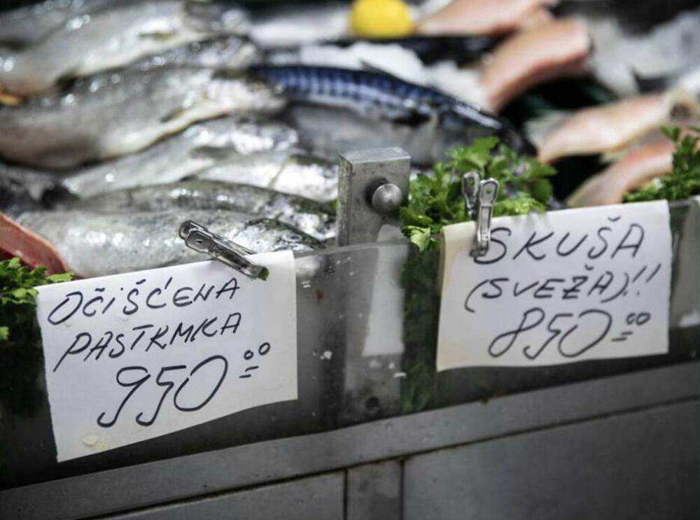 Cena ribe, riba