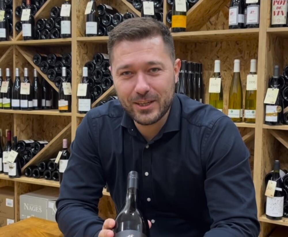 Nikola Petrović, Nikola Petrović vinoteka,, Maison du vin