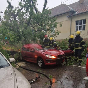 PRVA ŽRTVA NEVREMENA U SRBIJI: Žena poginula u Somboru nakon što je drvo