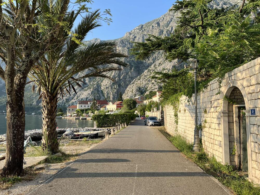 Kotor, selo Ljuta