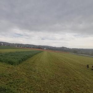 KAKO IZGLEDAJU FARME U ŠVAJCARSKOJ: Simentalska rasa i Holštajn najzastupljenije,